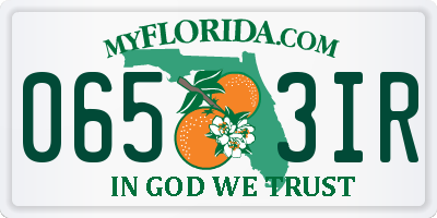 FL license plate 0653IR