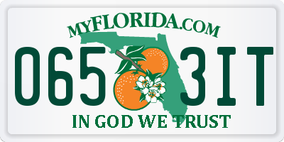 FL license plate 0653IT