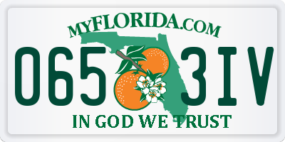FL license plate 0653IV