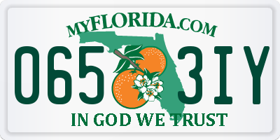 FL license plate 0653IY