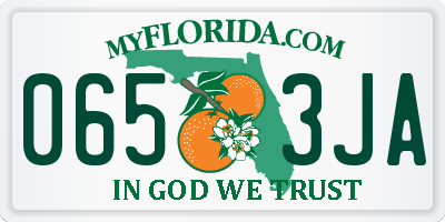 FL license plate 0653JA