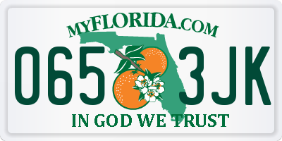 FL license plate 0653JK