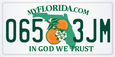 FL license plate 0653JM
