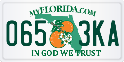 FL license plate 0653KA