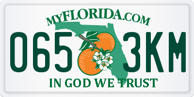 FL license plate 0653KM