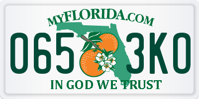 FL license plate 0653KO