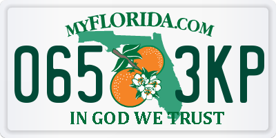FL license plate 0653KP