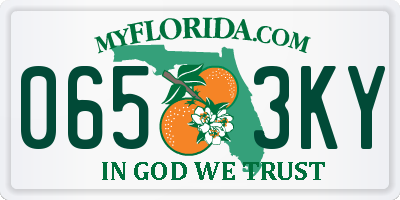 FL license plate 0653KY
