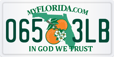 FL license plate 0653LB