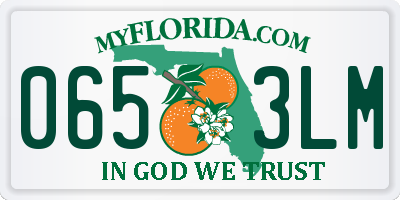 FL license plate 0653LM
