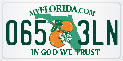 FL license plate 0653LN