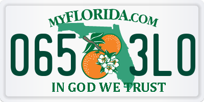 FL license plate 0653LO