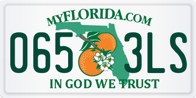 FL license plate 0653LS