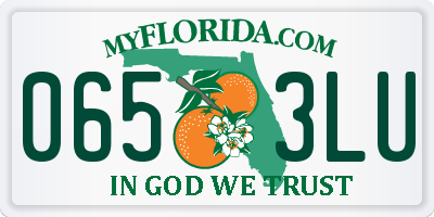 FL license plate 0653LU
