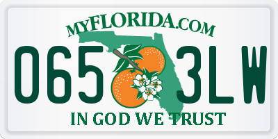 FL license plate 0653LW