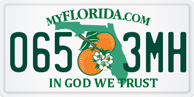 FL license plate 0653MH