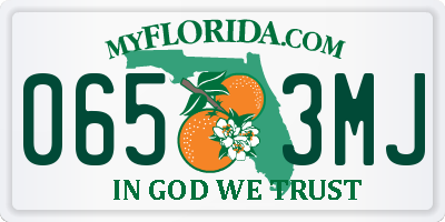 FL license plate 0653MJ