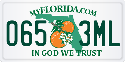 FL license plate 0653ML