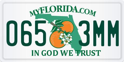 FL license plate 0653MM