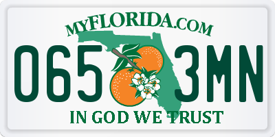 FL license plate 0653MN