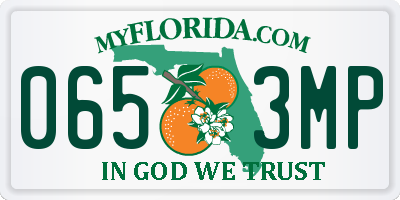 FL license plate 0653MP