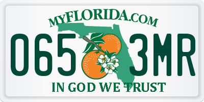 FL license plate 0653MR
