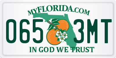FL license plate 0653MT