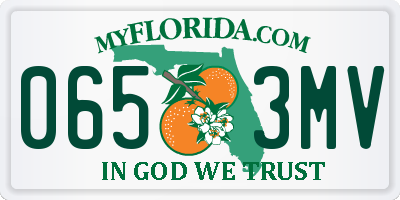 FL license plate 0653MV