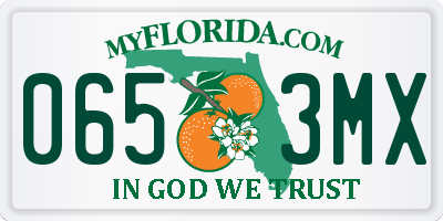 FL license plate 0653MX