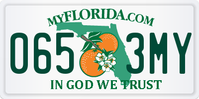 FL license plate 0653MY