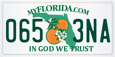 FL license plate 0653NA