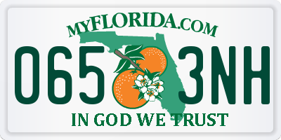 FL license plate 0653NH