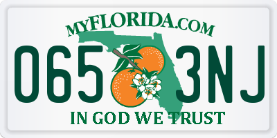 FL license plate 0653NJ