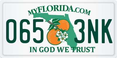 FL license plate 0653NK