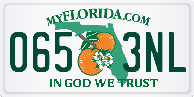 FL license plate 0653NL