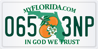 FL license plate 0653NP