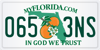 FL license plate 0653NS