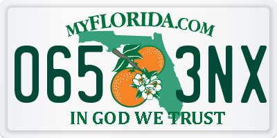FL license plate 0653NX