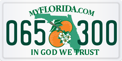 FL license plate 0653OO