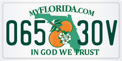 FL license plate 0653OV