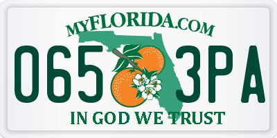 FL license plate 0653PA
