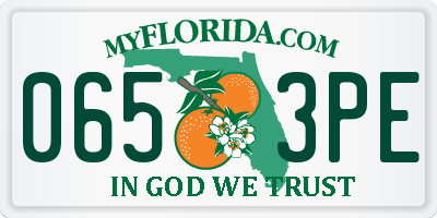 FL license plate 0653PE