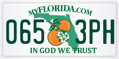 FL license plate 0653PH