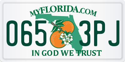 FL license plate 0653PJ
