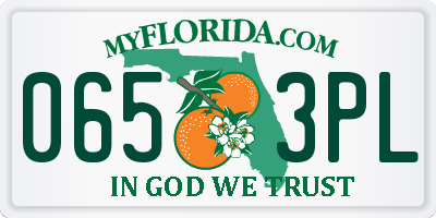 FL license plate 0653PL
