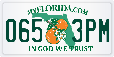 FL license plate 0653PM
