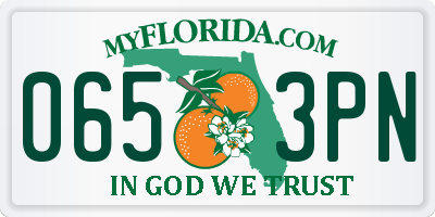 FL license plate 0653PN