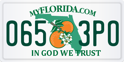 FL license plate 0653PO
