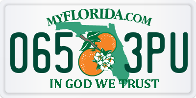 FL license plate 0653PU
