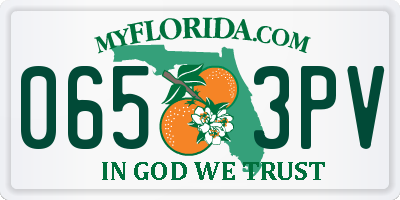 FL license plate 0653PV